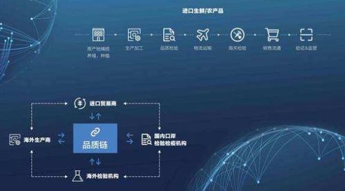 區塊鏈防偽溯源系統軟件設計開發解決方案
